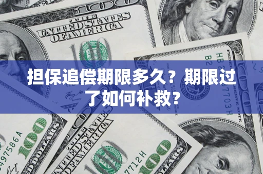 济南担保追偿期限多久？期限过了如何补救？